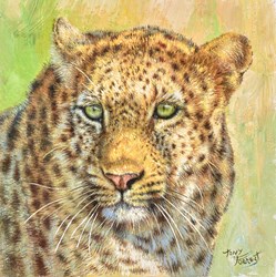 Leopard, Maasai Mara III by Tony Forrest - Varnished Original Painting on Stretched Canvas sized 10x10 inches. Available from Whitewall Galleries